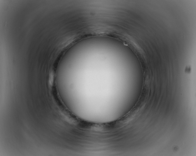 X0000101710076200807101418
