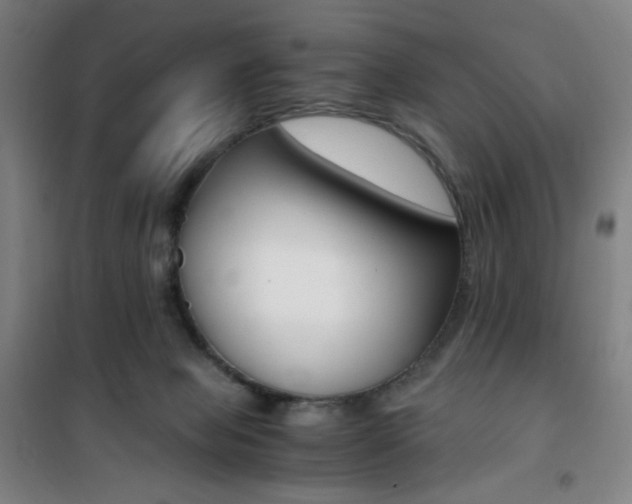 X0000101710077200807101418