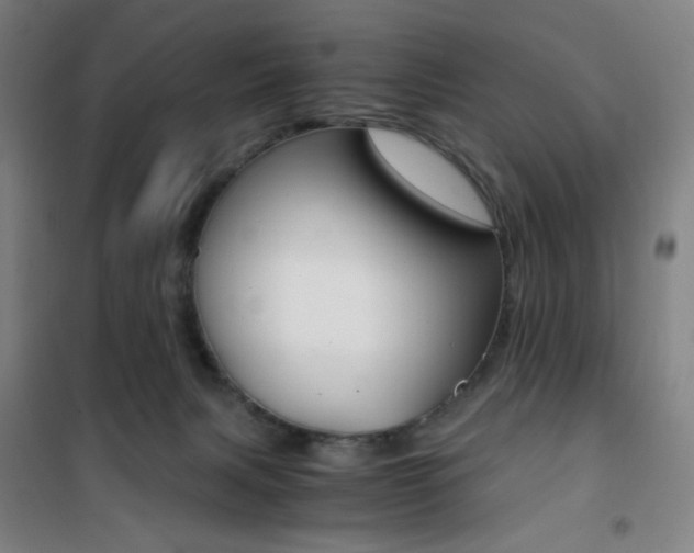 X0000101710079200807101418