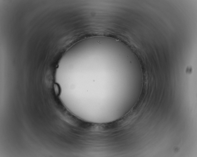 X0000101710080200807101418