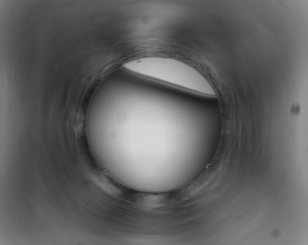 X0000101710081200807101418