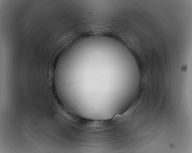 X0000101710082200807101418