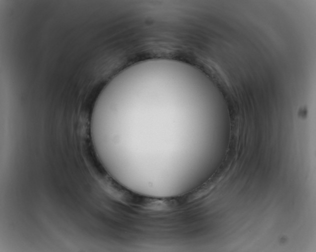 X0000101710083200807101418