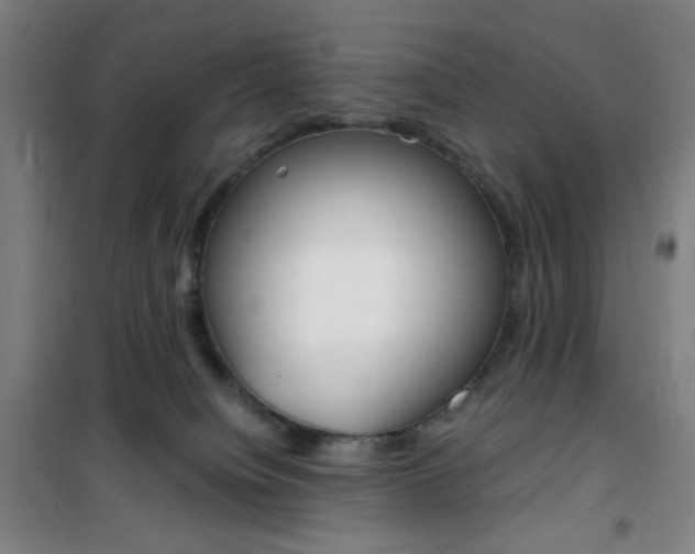 X0000101710084200807101418