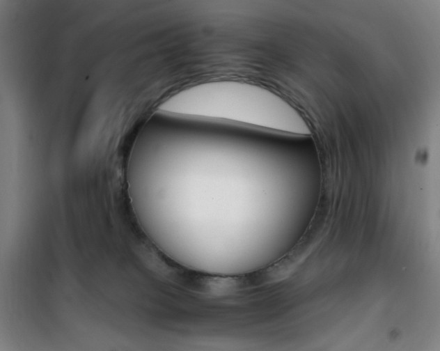 X0000101710085200807101418