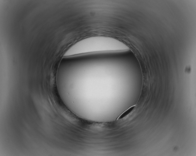 X0000101710086200807101418