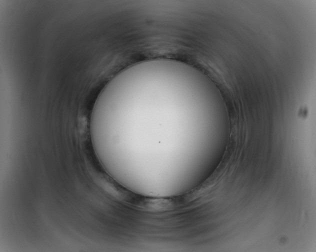 X0000101710087200807101418