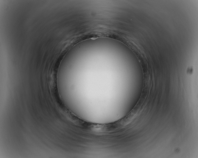 X0000101710088200807101418