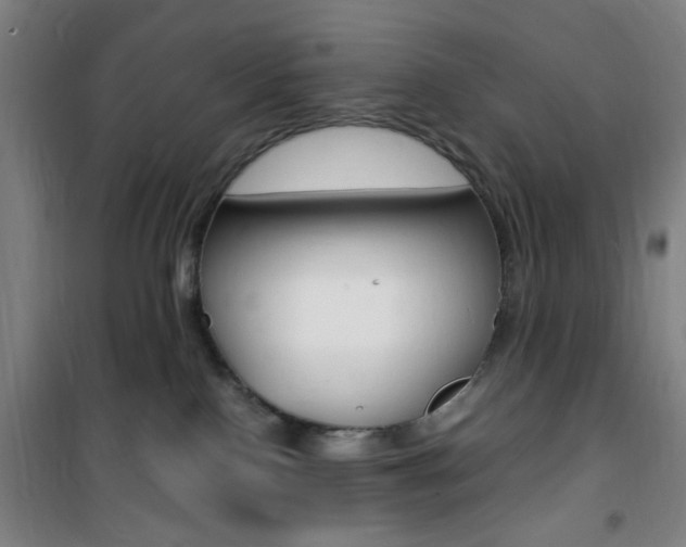X0000101710090200807101418