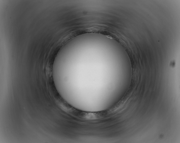 X0000101710091200807101418