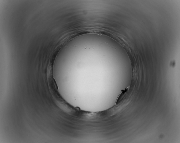 X0000101710092200807101418