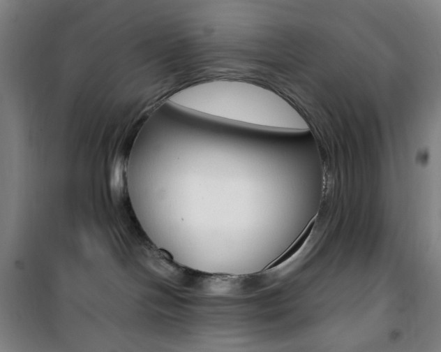 X0000101710094200807101418