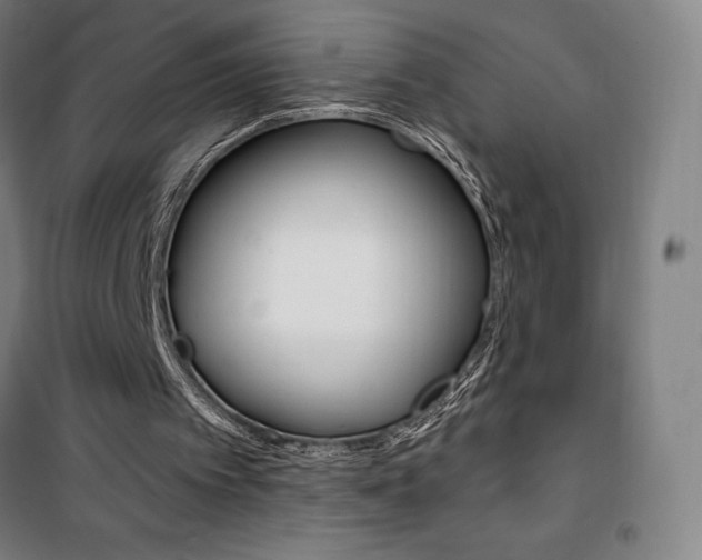 X0000101710097200807101417