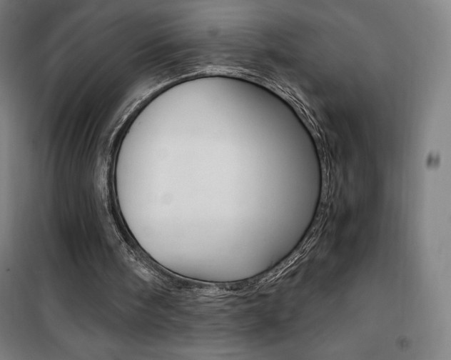 X0000101710098200807101417