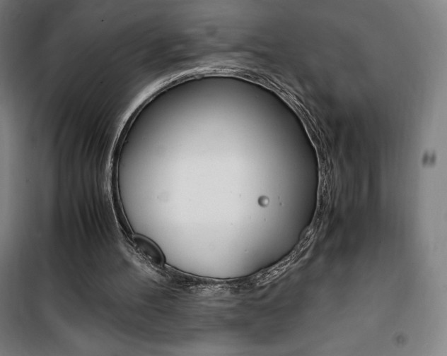 X0000101710100200807101417