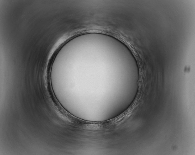 X0000101710102200807101417