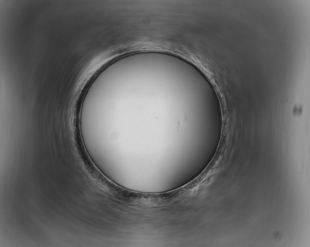 X0000101710103200807101417
