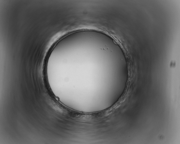 X0000101710104200807101417