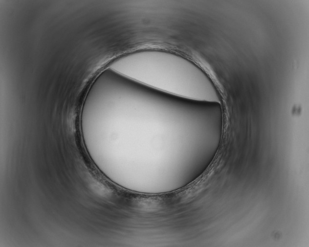 X0000101710106200807101417