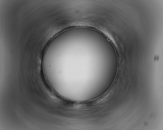 X0000101710109200807101417