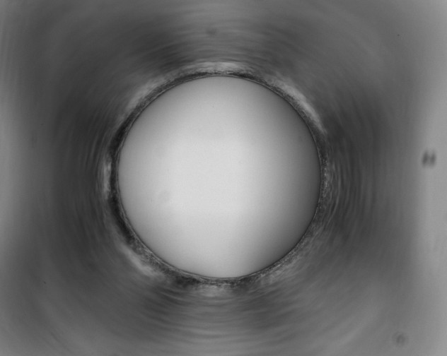 X0000101710110200807101417