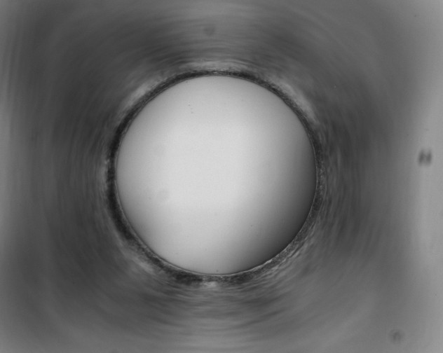 X0000101710111200807101417
