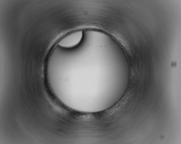 X0000101710112200807101417