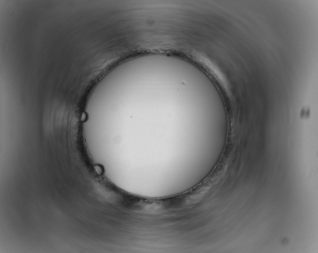 X0000101710113200807101417