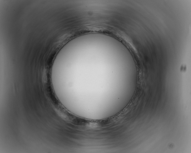 X0000101710114200807101417