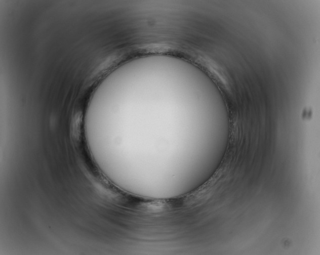 X0000101710118200807101417