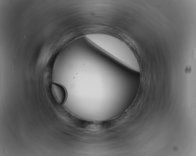 X0000101710119200807101417