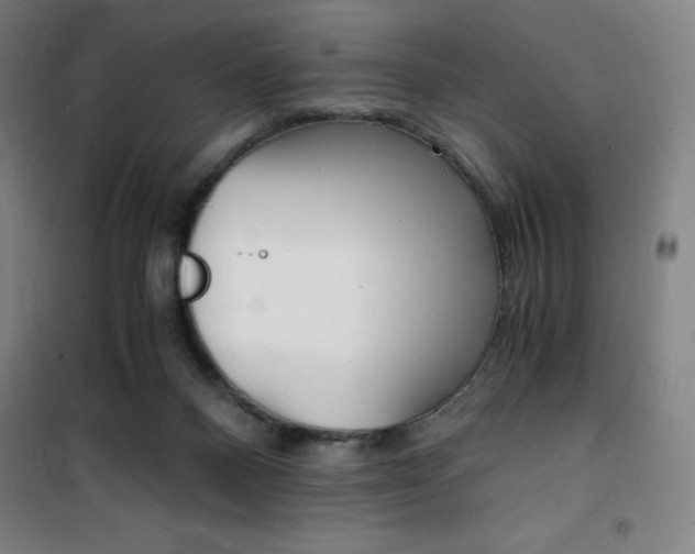 X0000101710120200807101417