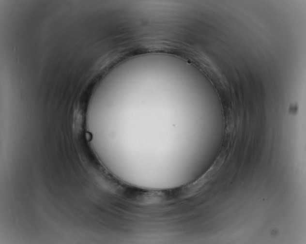 X0000101710124200807101417