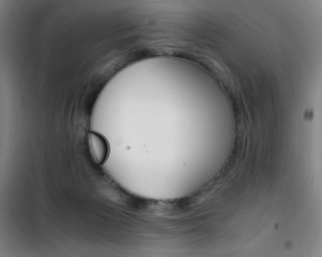 X0000101710125200807101417