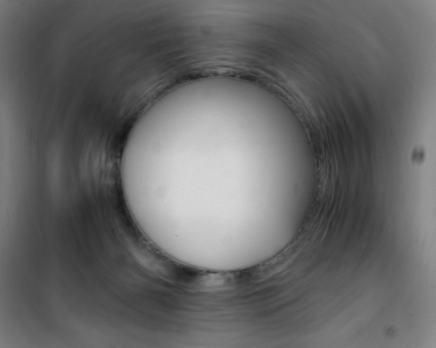 X0000101710126200807101417
