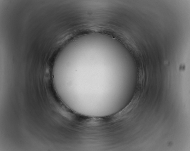 X0000101710128200807101417
