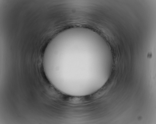 X0000101710129200807101417