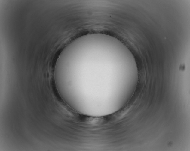 X0000101710135200807101417