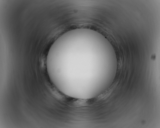 X0000101710138200807101417