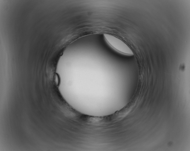 X0000101710139200807101417