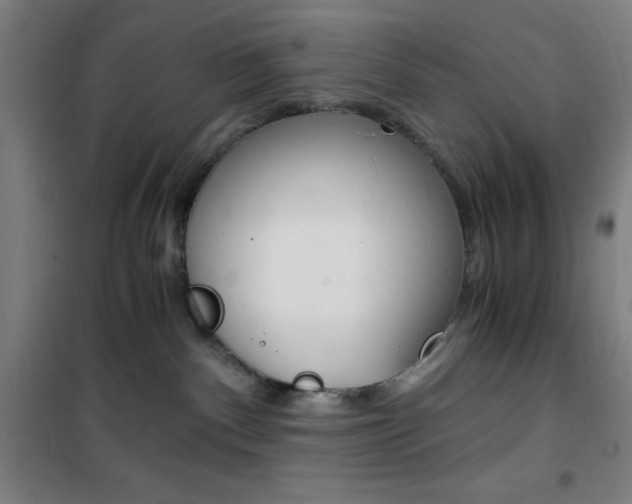 X0000101710140200807101417