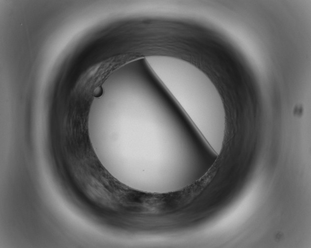 X0000101710143200807101417