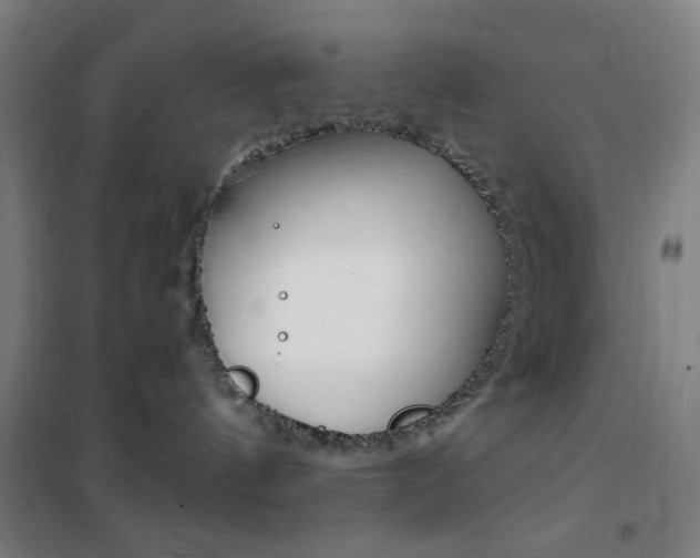 X0000101710144200807101417