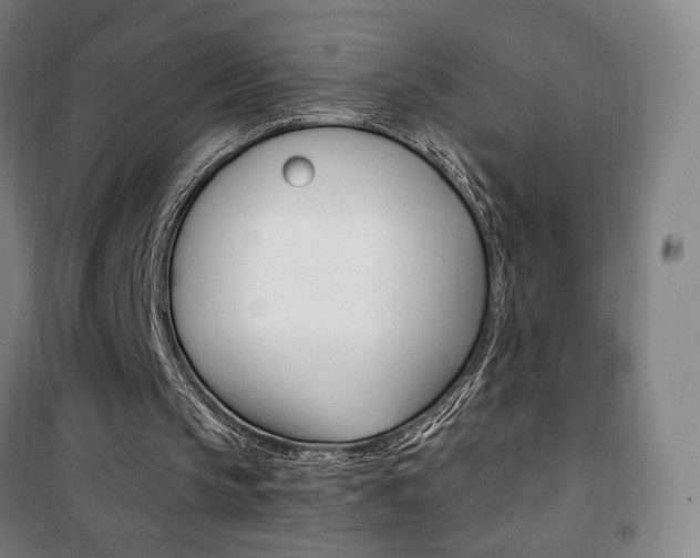 X0000101710145200807101416