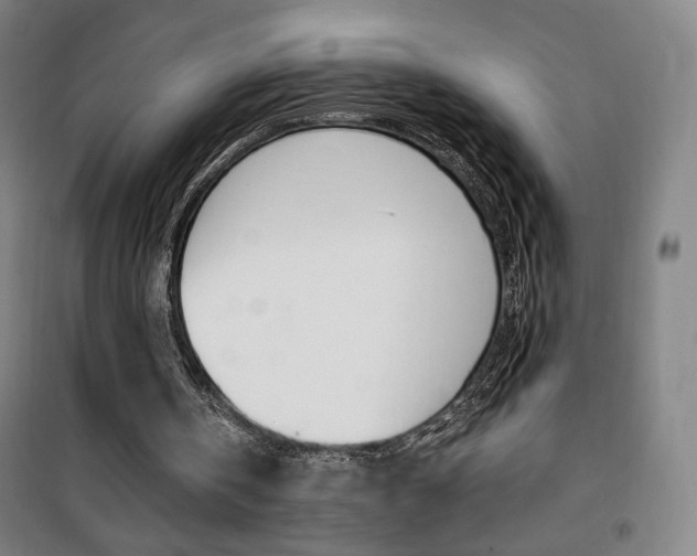 X0000101710146200807101416
