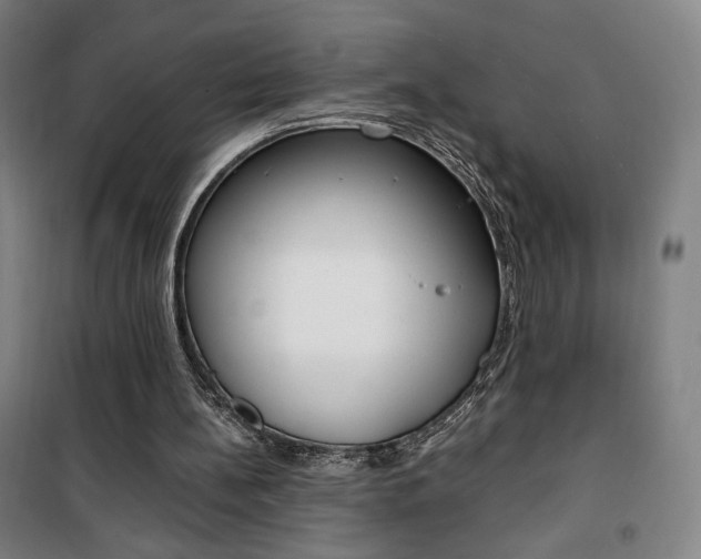 X0000101710148200807101416
