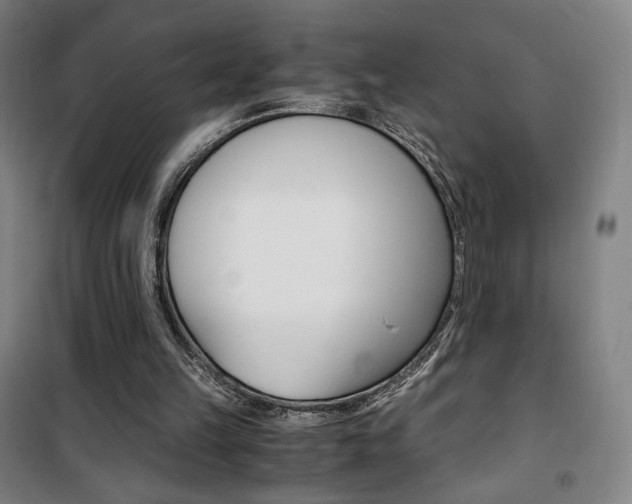 X0000101710149200807101416