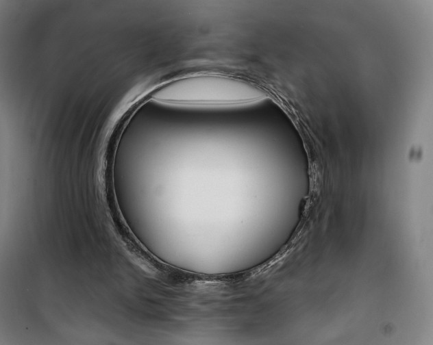 X0000101710150200807101416