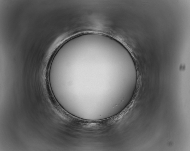 X0000101710151200807101416