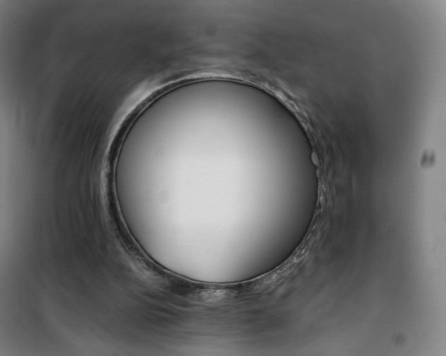 X0000101710152200807101416
